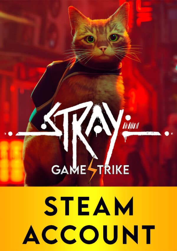 Stray Steam Account