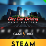 City Car Driving Steam Account (Sale)