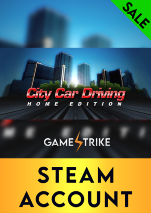City Car Driving Steam Account (Sale)