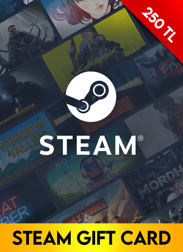 Steam Gift Card 250 TL - Steam Key - TURKEY